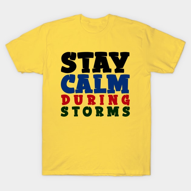 Stay Calm During Storms T-Shirt by Curator Nation